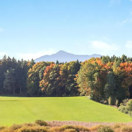 Apartment Parzinger 2 *